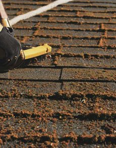 Roof Cleaning in Dundee by Dundee Roofing Services