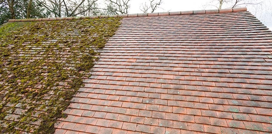 Half-done: years of moss and lichen taken off a tiled roof by hand.