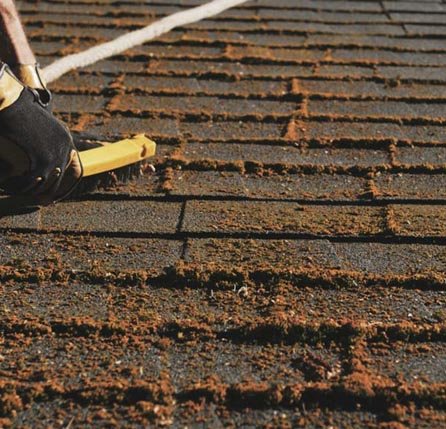Trowel and hand brush — the traditional method, no pressure washer near your tiles.