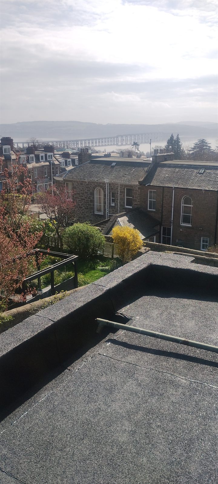 Rear flat roof renewed and finished off, looking out over the back gardens.
